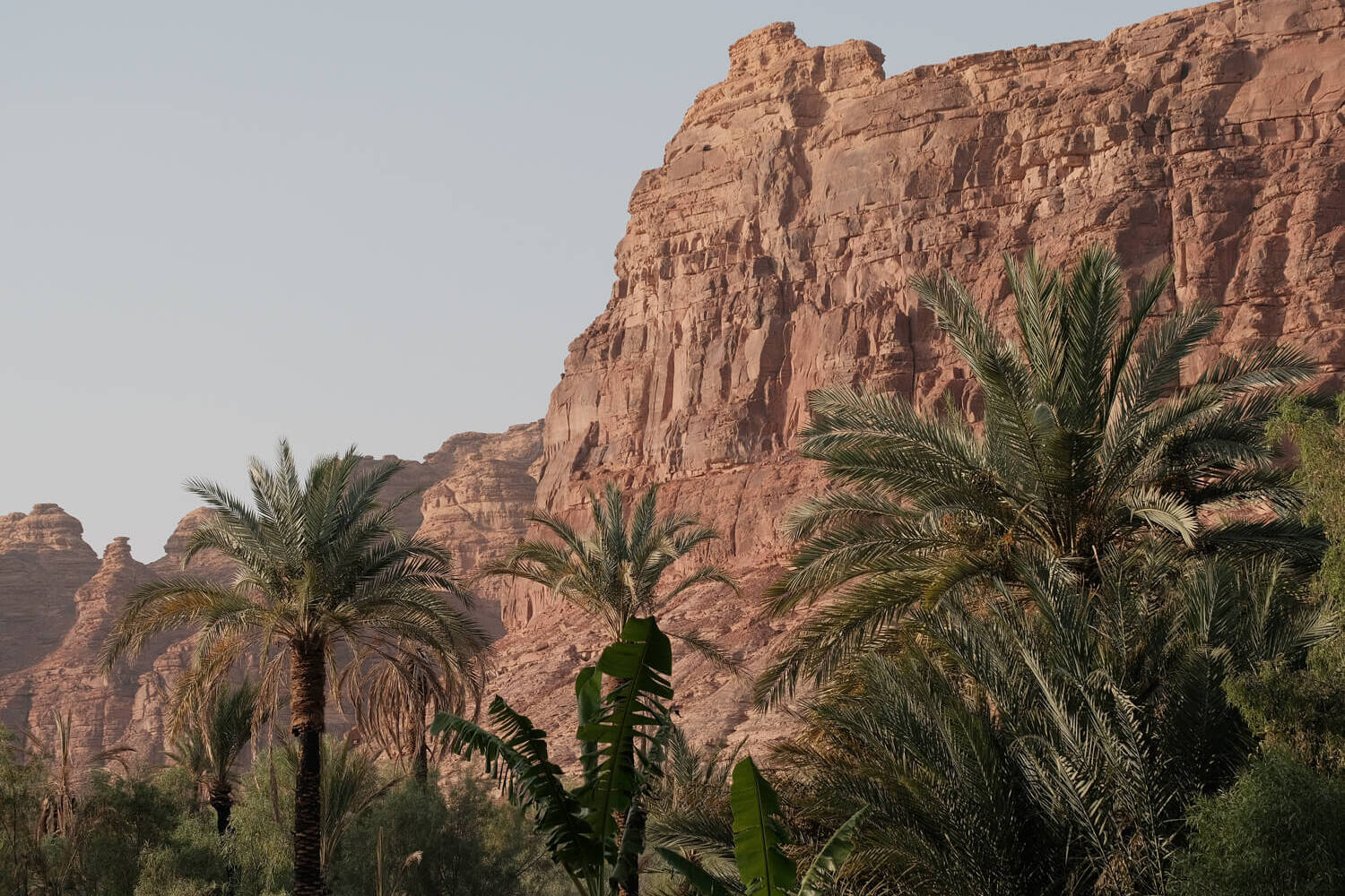 Alua Oasis trail